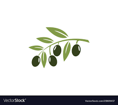 Olive Products